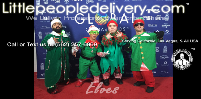 elves houston